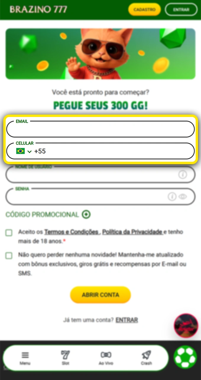 Insira suas informações pessoais para acessar a casa de apostas Brazino777.